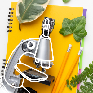 Microscopio y libretas de colegio
