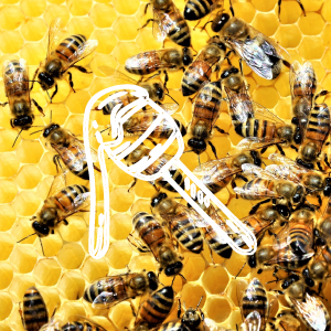 Abeja polinizando una flor